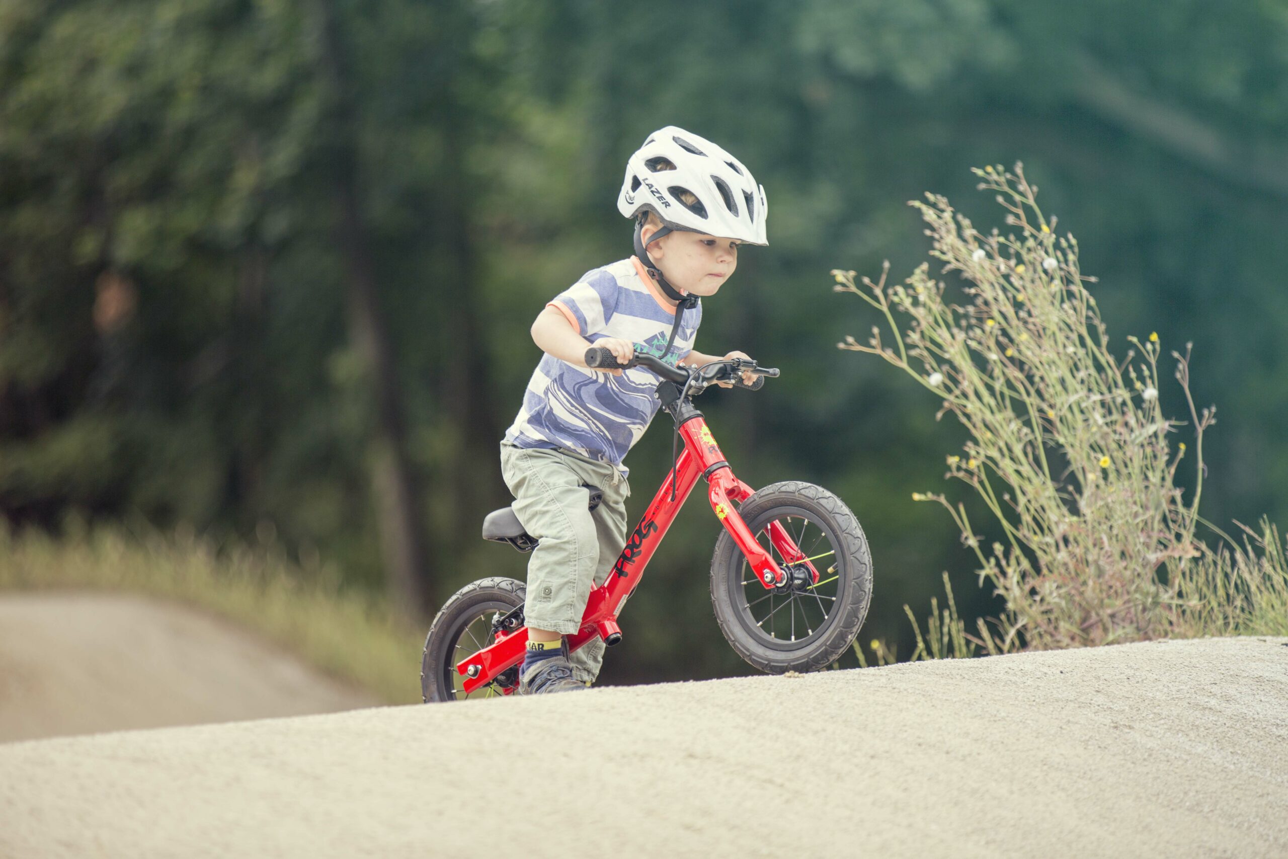 A small child on a balance bike going up a hill