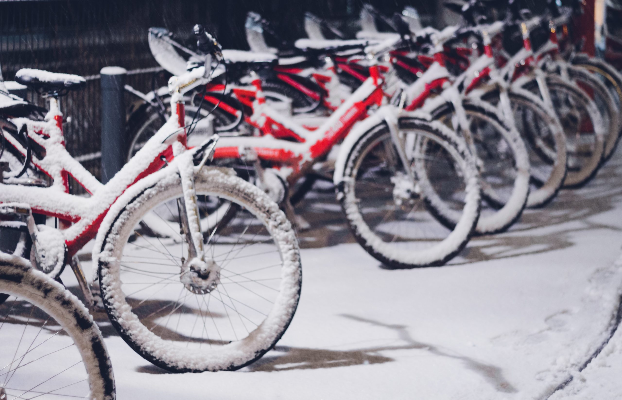 Bikes lined up covered in snow